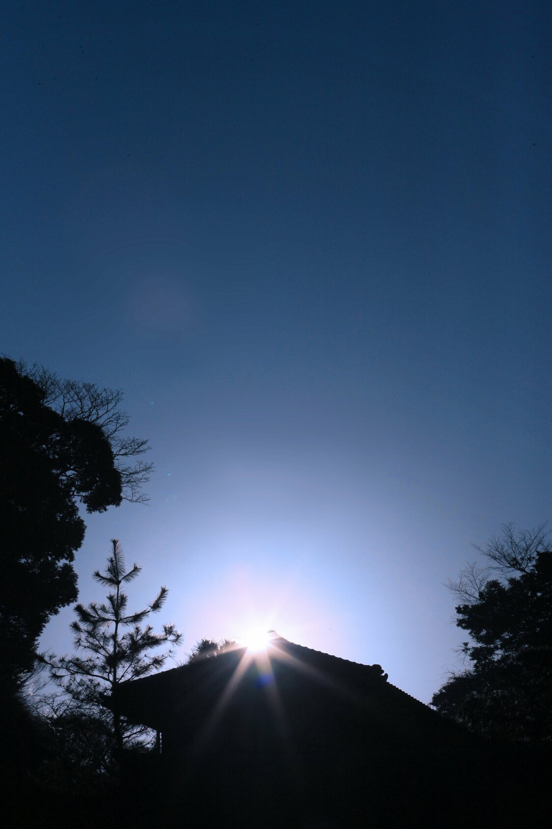 The Kenchōji meditation hall where the monks train. It is a sacred space forbidden to outsiders. (© Harada Hiroshi)