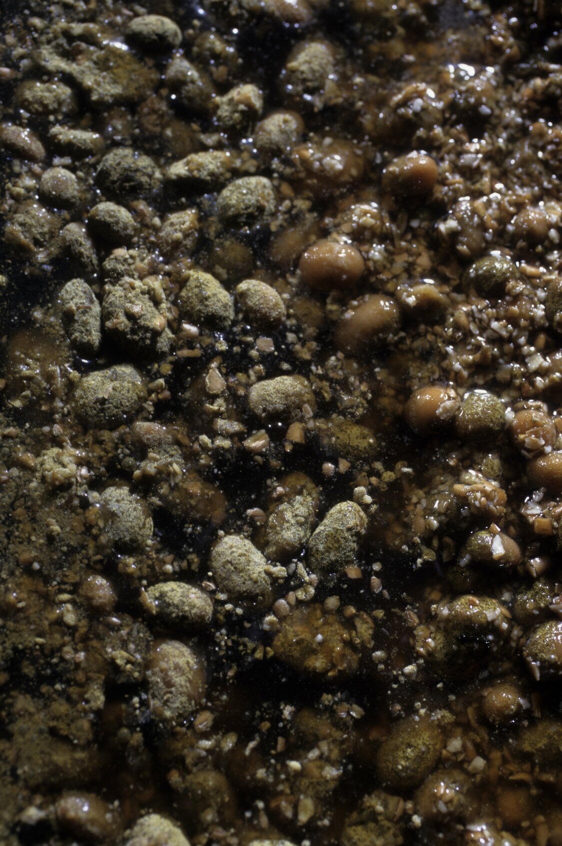 La purée obtenue (moromi) âgée de deux semaines est presque inodore, et a une forte saveur salée.