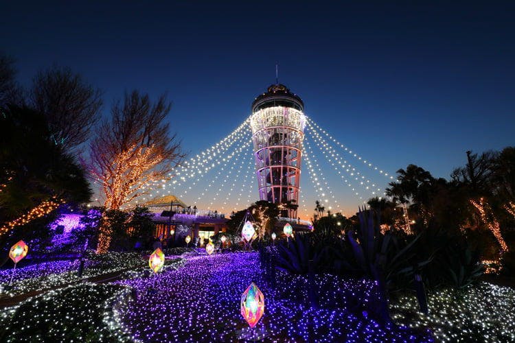 Expert Opinion: Five Must-See Light Displays in Japan