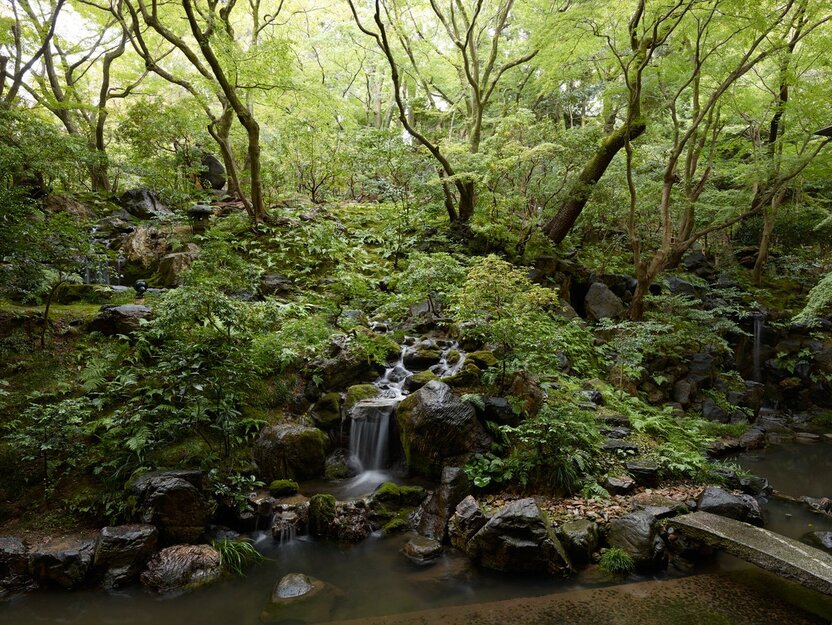 ウェスティン都ホテル京都「葵殿」庭園