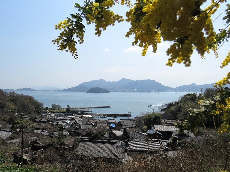 离岛系列 志志岛，为电影人所爱的岛屿