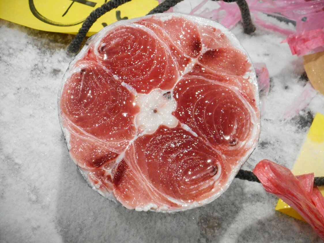 目利きに欠かせない尾の断面。脂の乗りのほか、粘りやうま味、色合いなどをチェックする　写真：筆者提供