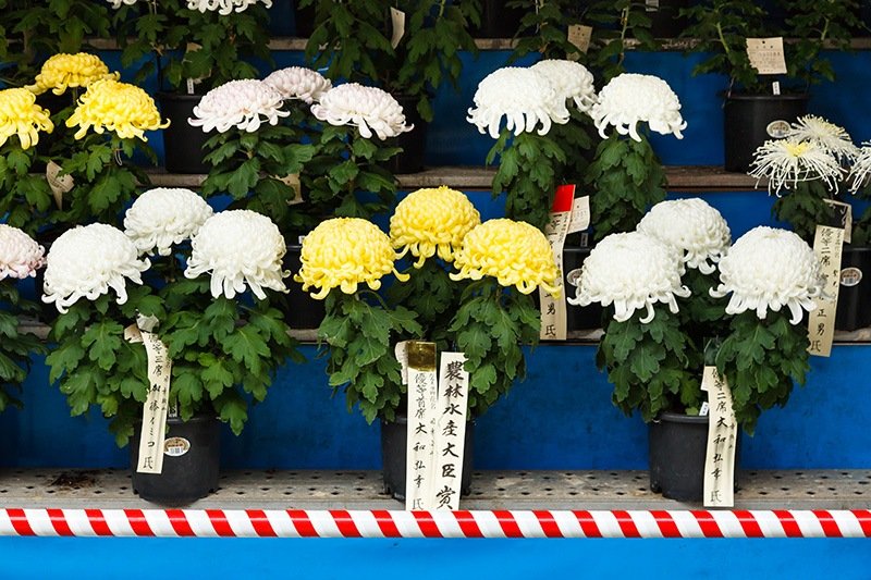 Arrangement floral triple, ou sanbon-jitate.