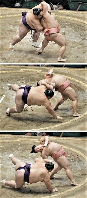 2017年初場所の宇良・天風戦 共同