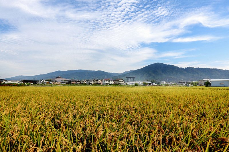 三輪山