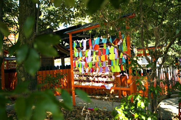 Son populares las fortunas enmusubi-mikuji que tienen poemas que aparecen en La historia de Genji y los amuletos aoi-himo con motivos de hojas de malva y diseños atractivos. (PIXTA)