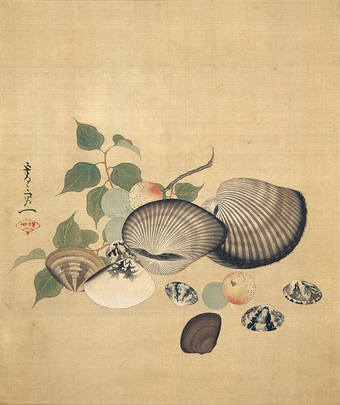 鈴木其一「貝図」