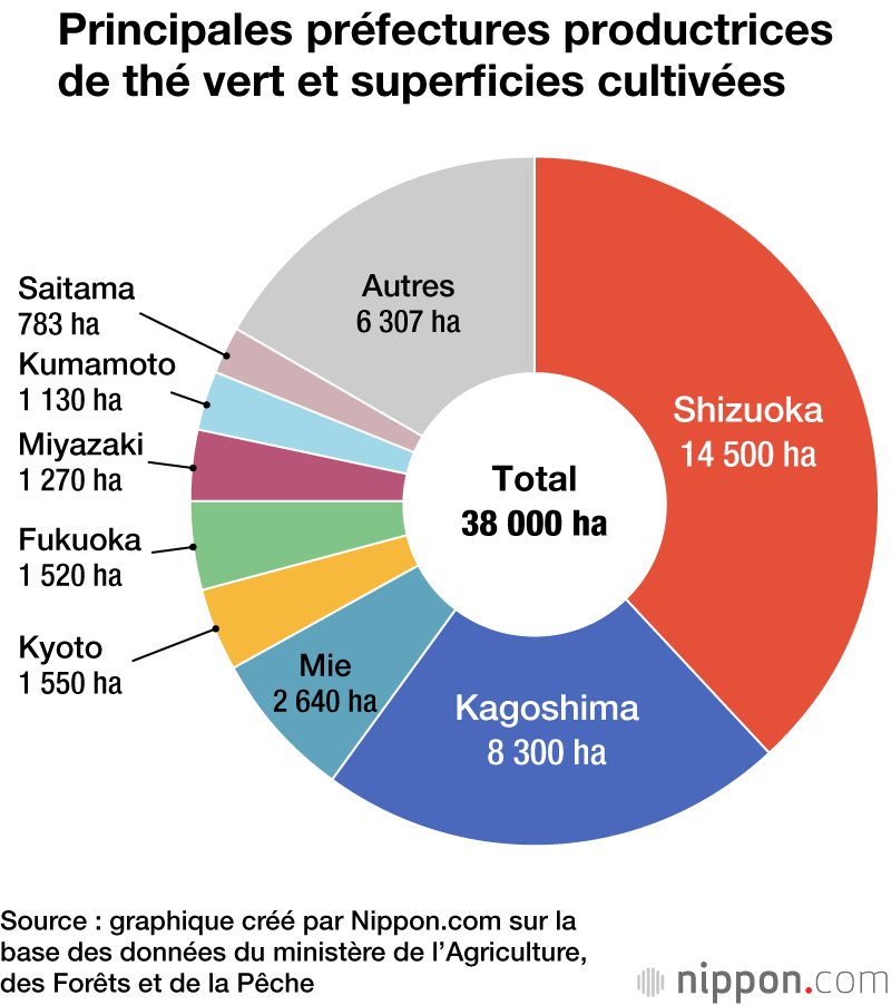Engouement pour le thé vert à l’étranger : un chiffre record pour les exportations japonaises