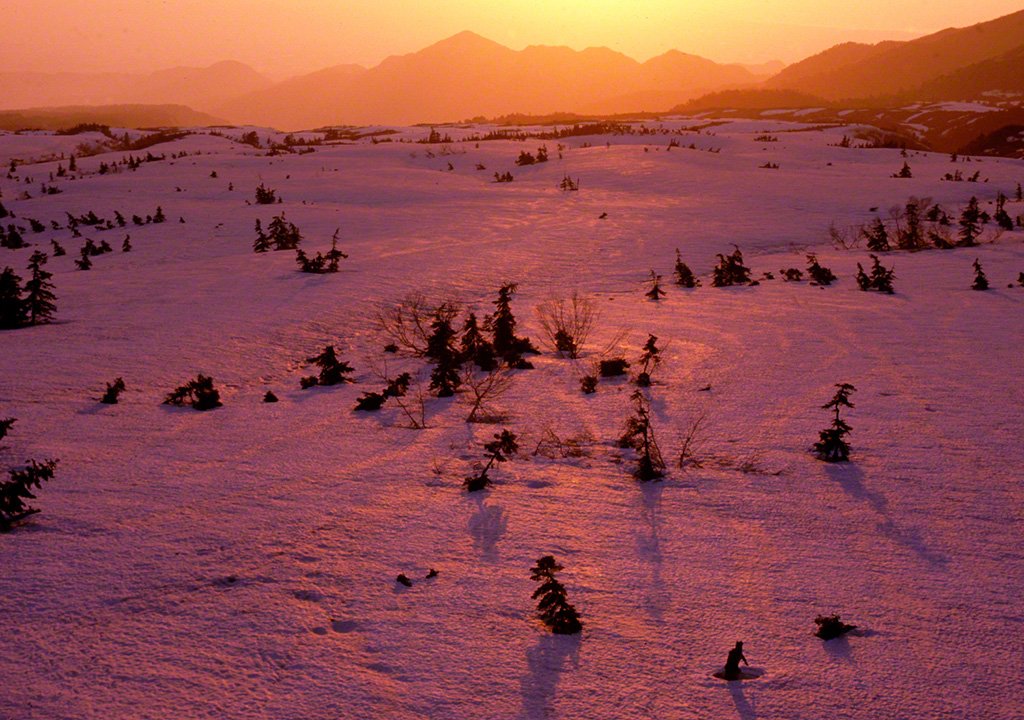 Le plateau Midagahara, mai