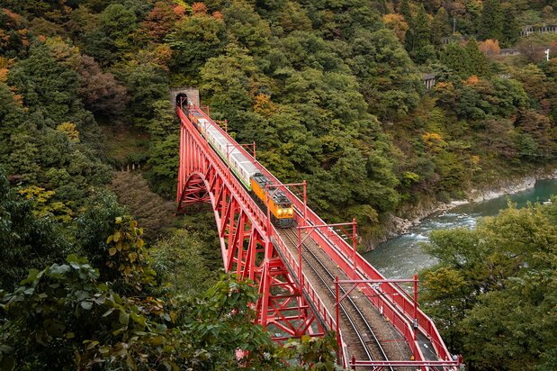 A view of the train from the Yamabiko lookout.