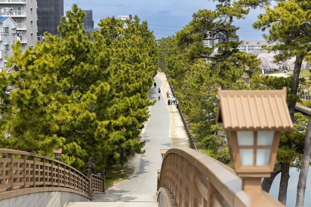 从半圆形拱桥风格的过街天桥“矢立桥”上拍摄的草加松原,自江户时代起便是日光街道的名胜
