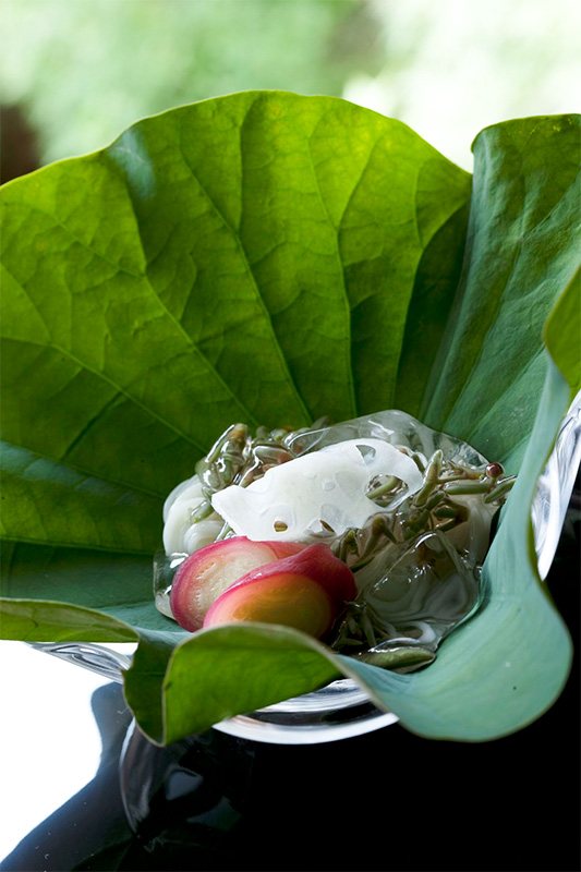 Plato elaborado con Brasenia schreberi. No tocar en exceso los ingredientes es una de las destrezas que distingue a los profesionales (cortesía de Kōdaiji Wakuden).