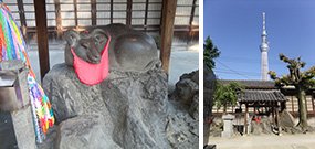 墨田区観光協会（右写真撮影：能條建一）
