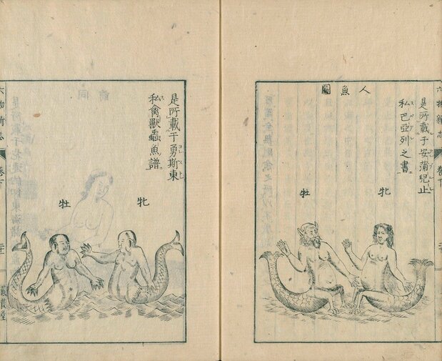 『六物新志』に引用されたヨンストン(左)とパレの人魚(国立国会図書館デジタルコレクション)