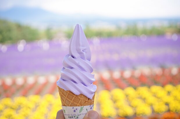 A lavender ice cream cone set against fields of flowers is made for Instagramming.