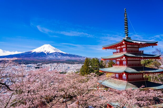將春天櫻花時節的五重塔、富士山和綻放的櫻花收入一張圖中。在社交網站被全球線民瘋狂轉載。瞭望平臺目前正在改建中,預定2022年春季完工(PIXTA)