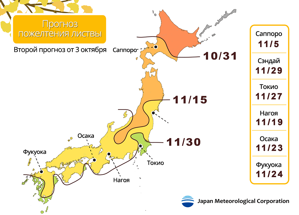 Источник: ООО Японская Метеорологическая Компания