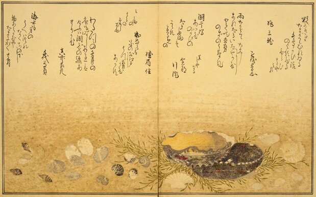 L’un des ouvrages les plus remarquables de l’éditeur, Ehon : Shiohi no tsuto (« Livre illustré : Offrandes de la marée descendante »), publié à la fin des années 1780, se distinguait par ses somptueuses illustrations réalistes signées Utamaro. (Avec l'aimable autorisation de la Bibliothèque nationale de la Diète)