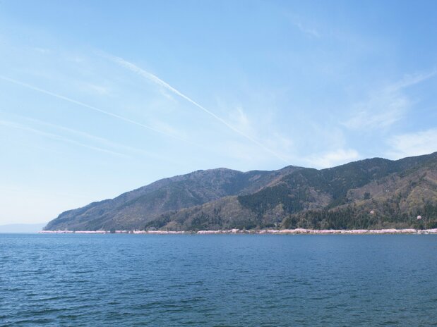 Sakura in bloom form a pink line along the shore at Kaizu Ōsaki.