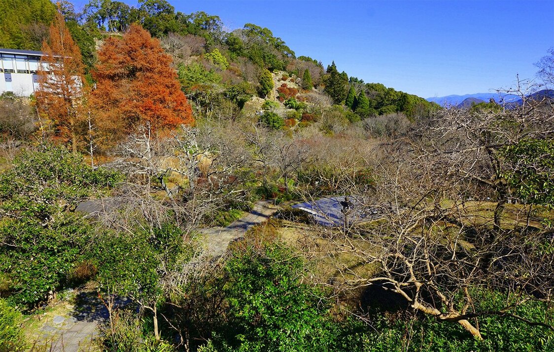 Jardín Botánico Makino. (© Gianni Simone)