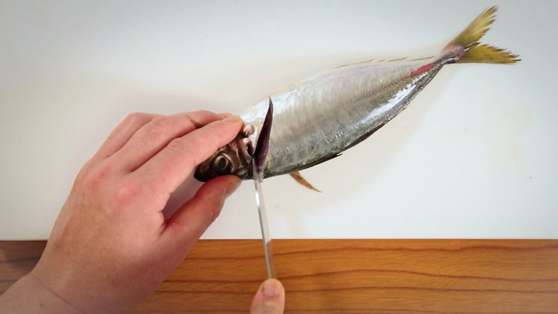 Japanese Seafood Culture: How to Fillet a Horse Mackerel