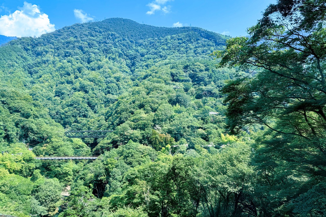 为什么越来越多日本人选择“Retreat”？箱根强罗的两天一夜疗愈之旅