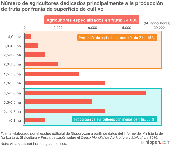 ¿Por qué es tan cara la fruta en Japón?