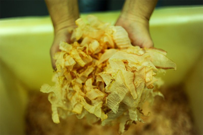Katsuobushi shavings are the source of the dashi that flavors many Japanese dishes.