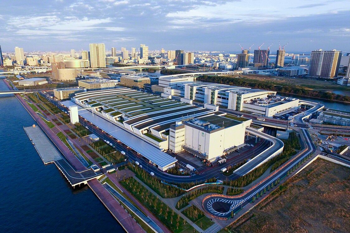 豊洲市場。毎朝、これだけの量のマグロが取引される市場は世界中を見渡してもない