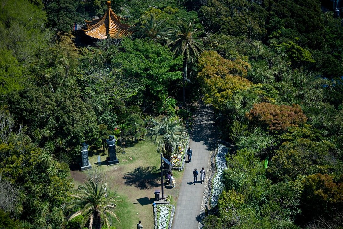 Vista cenital del jardín Samuel Cocking. (© Benjamin Parks)