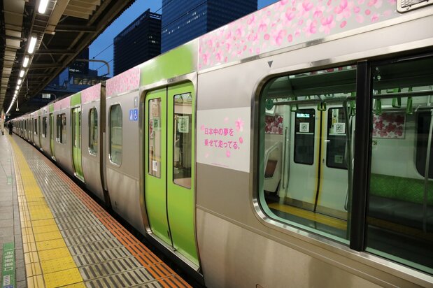 桜模様のラッピングが目印。見かけ次第、乗り込んでみよう！
