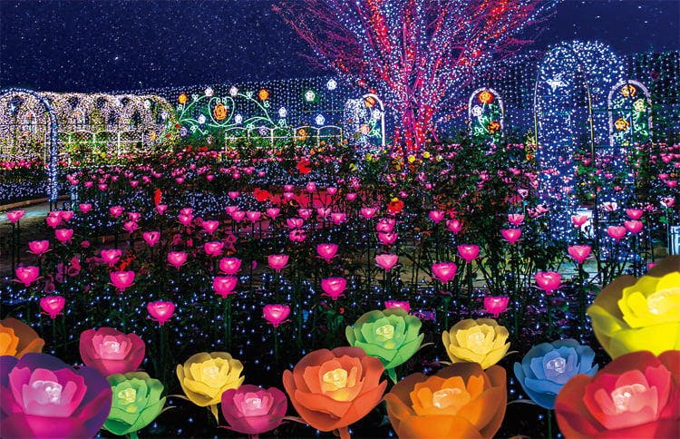 Expert Opinion: Five Must-See Light Displays in Japan