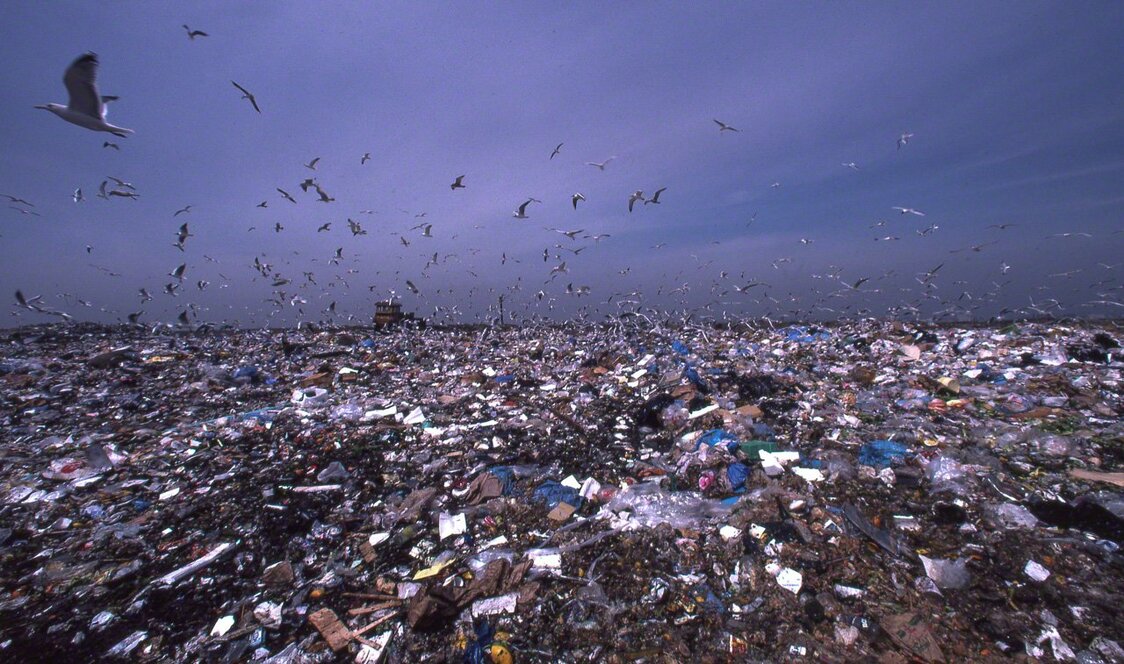 This picture was taken 42 years ago. During the period of rapid economic growth, it was a landfill site, but today it has been reborn as the Yume no Shima (Dream Island) Park in Kōtō, Tokyo. (© Ōnishi Naruaki)