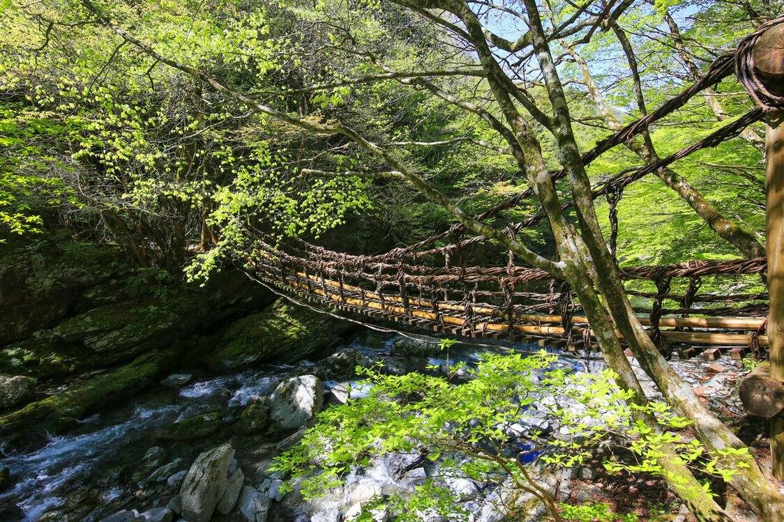一座由藤蔓制成的传统悬索桥横跨在祖谷溪上 ©PIXTA