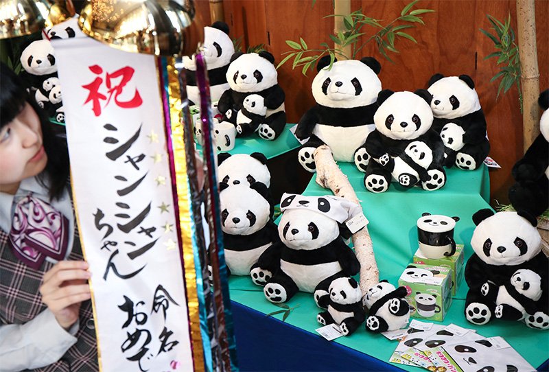 上野動物園のジャイアントパンダの赤ちゃんの名前が「シャンシャン（香香）」に決まり、パンダの縫いぐるみ売り場でお祝いのくす玉を割る人形専門店「久月」の職員＝25日、東京都台東区の同本店（時事）