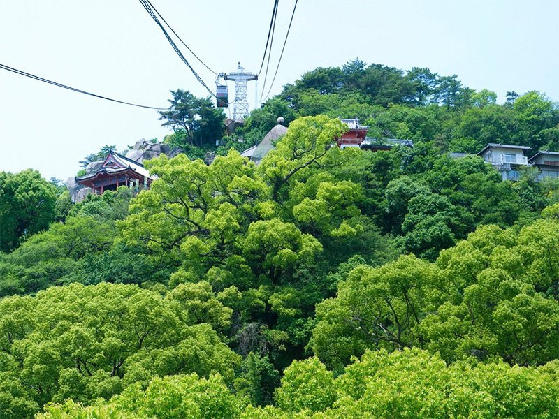 La ladera del monte Senkōji, con la Tama-no-iwa (roca Bola) visible entre el arbolado, vista desde la cabina del teleférico.