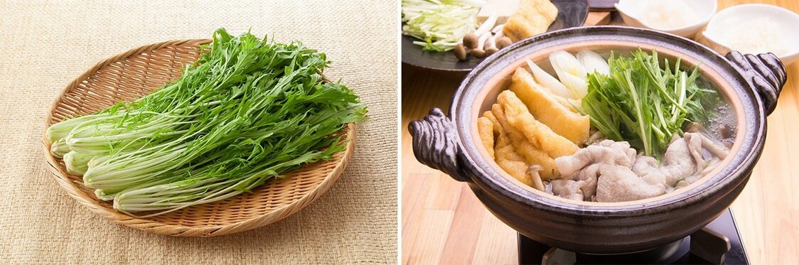 Mizuna (à gauche) ; harihari-nabe, un pot-au-feu garni de mizuna et de porc.