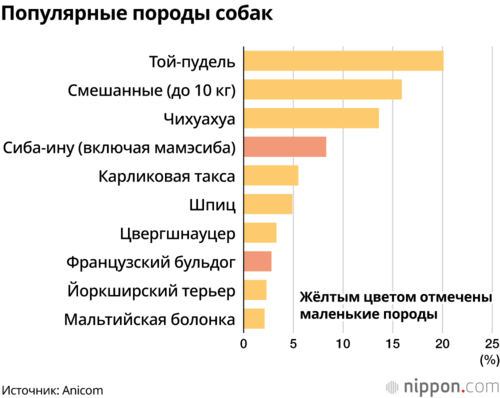 Популярные породы собак