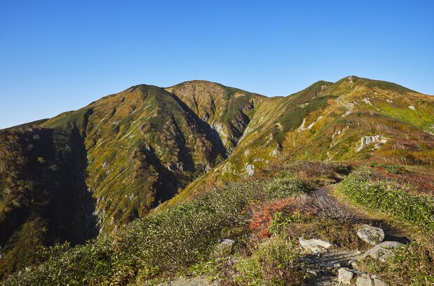 中央が朝日連峰の主峰・大朝日岳（標高1871m）　　写真提供：山形県観光物産協会