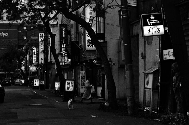 往時の柳小路(2010)