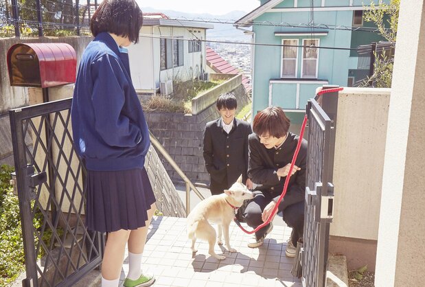 いつも長谷川家の中心にいる愛犬サクラ ©西加奈子/小学館 ©2020 「さくら」製作委員会