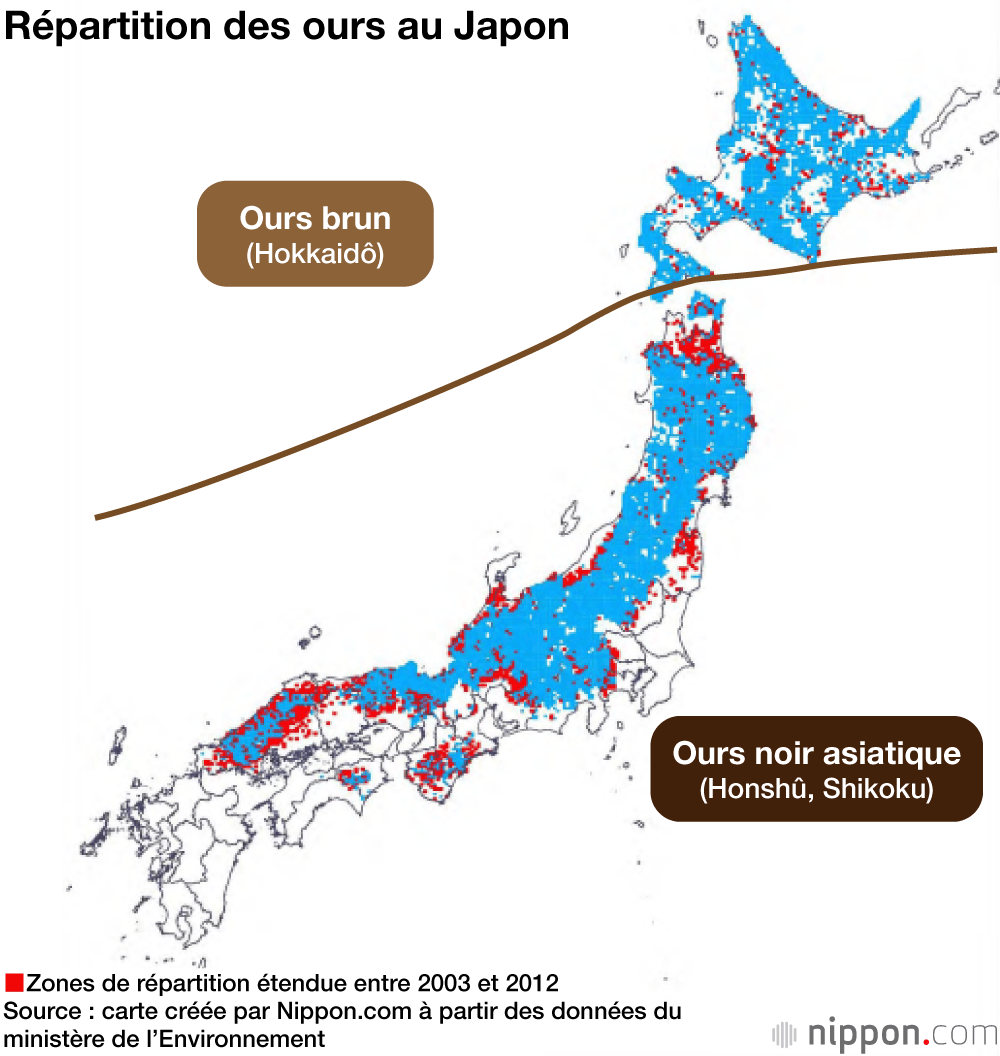 Les ours de plus en plus visibles à proximité d’habitations au Japon 
