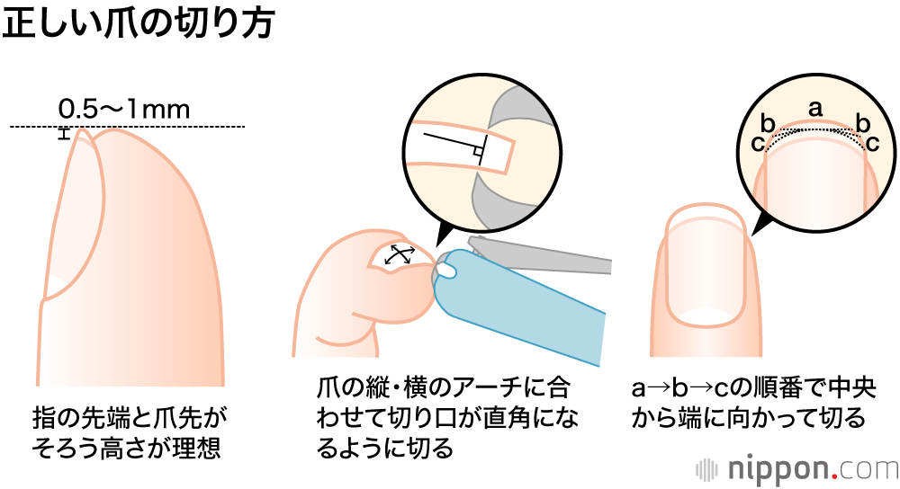 正しい爪の切り方