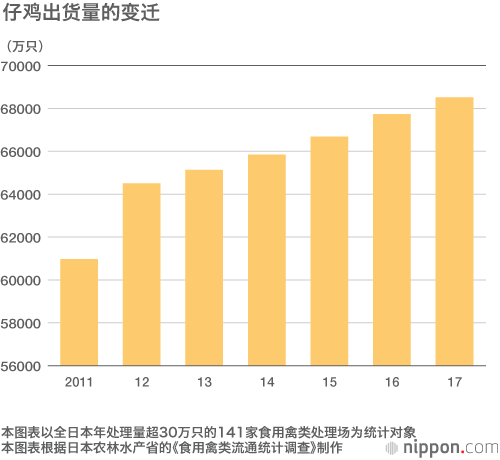 日本人最爱鸡肉！“色拉鸡”热销，仔鸡出货量攀升