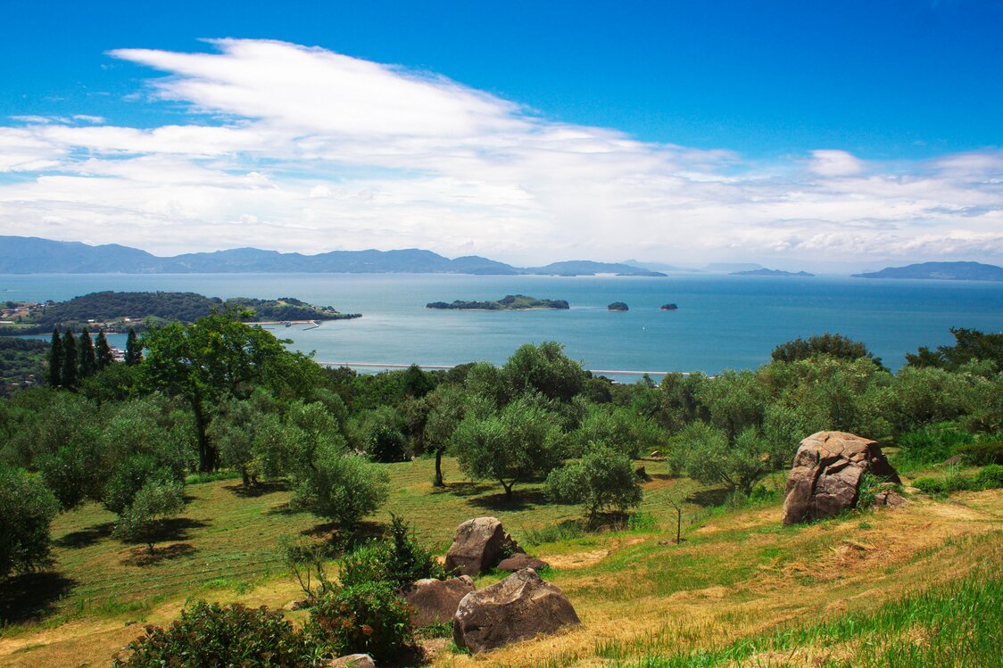Looking out over the picturesque sea from Ushimado Olive Garden. (Courtesy Okayama Prefecture Tourism Federation)