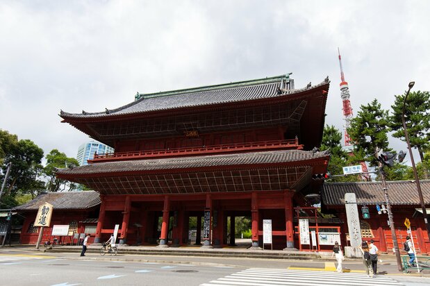 The Sangedatsumon with Tokyo Tower peeking through in the background.