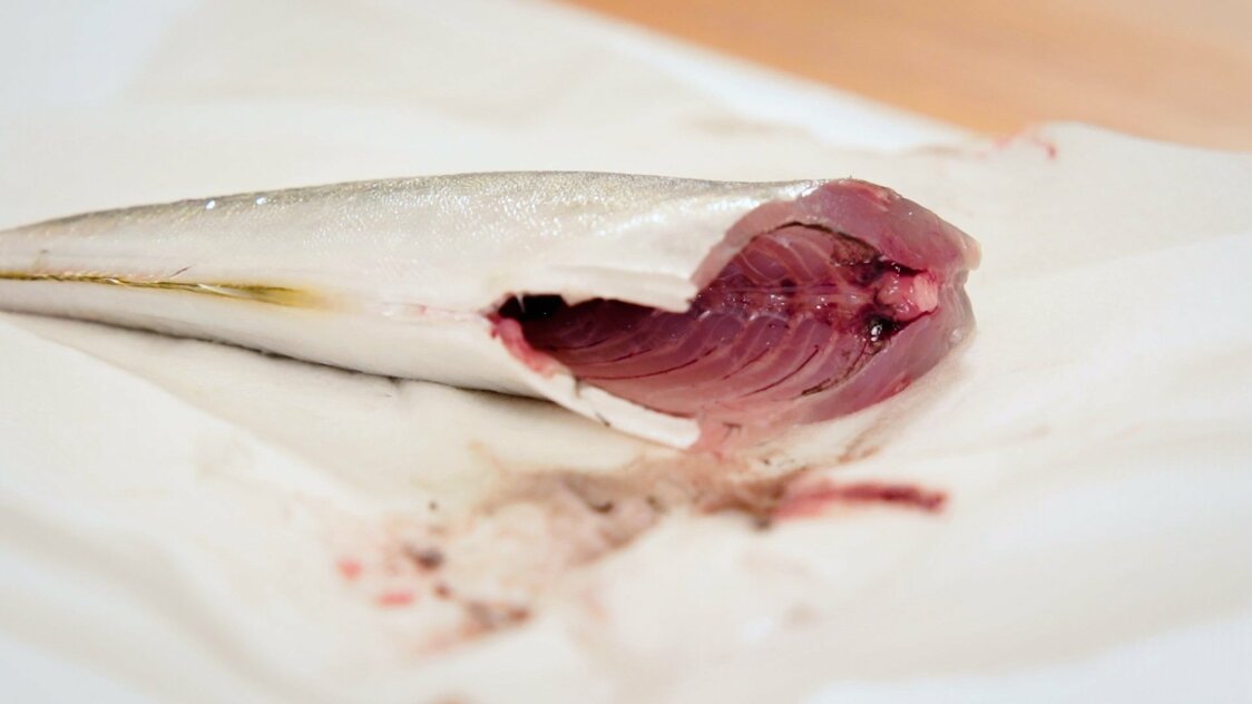 Japanese Seafood Culture: How to Fillet a Horse Mackerel