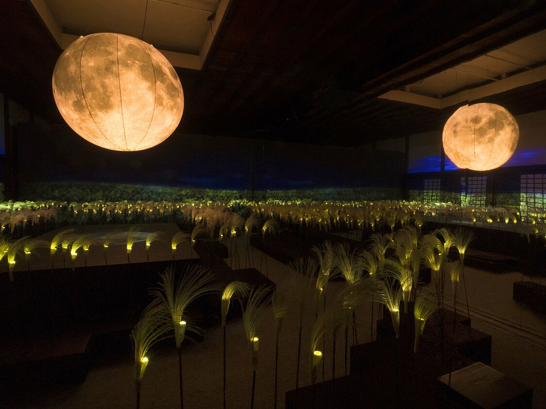 Stalks of hanasusuki (flowering plume grass), an installation in the kitchens, make it seem like visitors are looking up at the moon while still indoors. The mirrors mounted on the walls heighten the sense of standing in a vast field of plume grass.