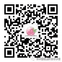 上海日领馆消息：第21届上海国际电影节•日本电影周  8部日本人气电影将震撼登场