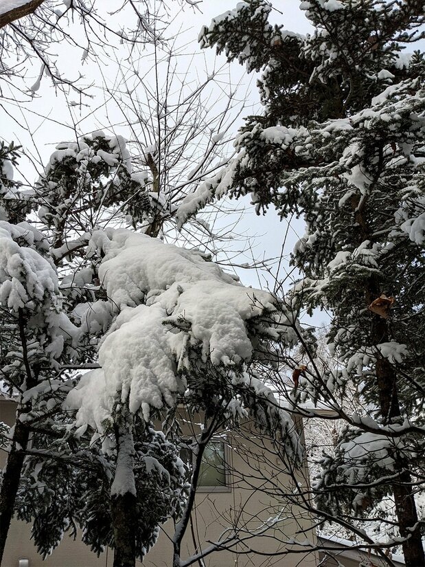 夜中にたっぷり雪が降った翌朝。なんとなく心が弾むのは、まだまだ移住仕立てだから?(筆者撮影)